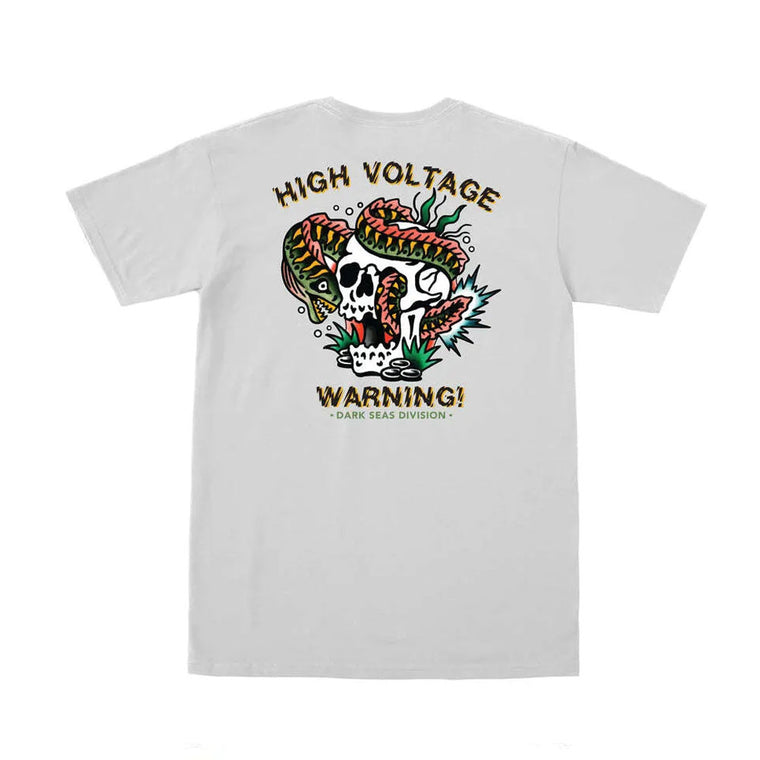 HIGH VOLTAGE S/S